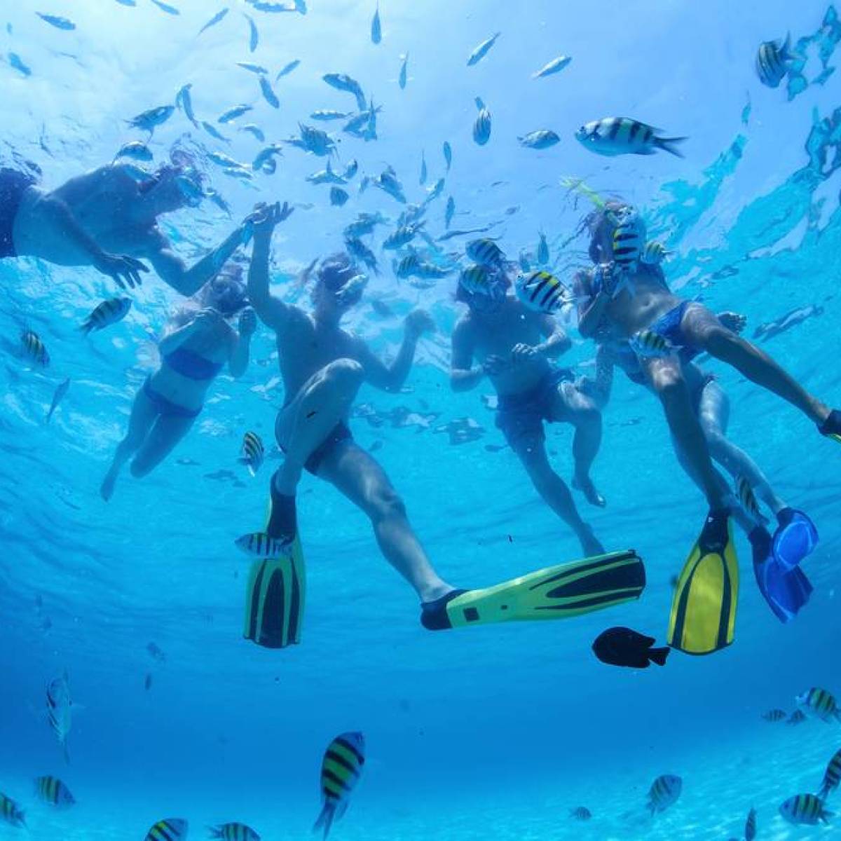 a group of people swimming in a pool of water