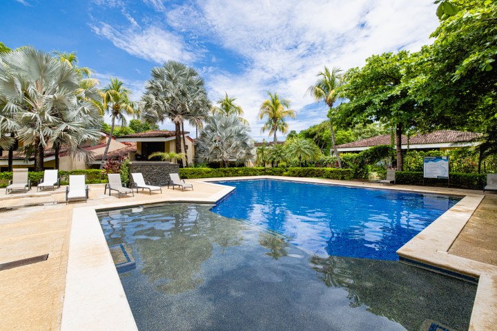 Outdoor pool with lounge chairs, surrounded by palm trees and tropical plants under a bright blue sky.