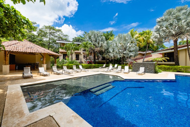 Outdoor pool area with lounge chairs, surrounded by tropical trees and a small pavilion under a blue sky.