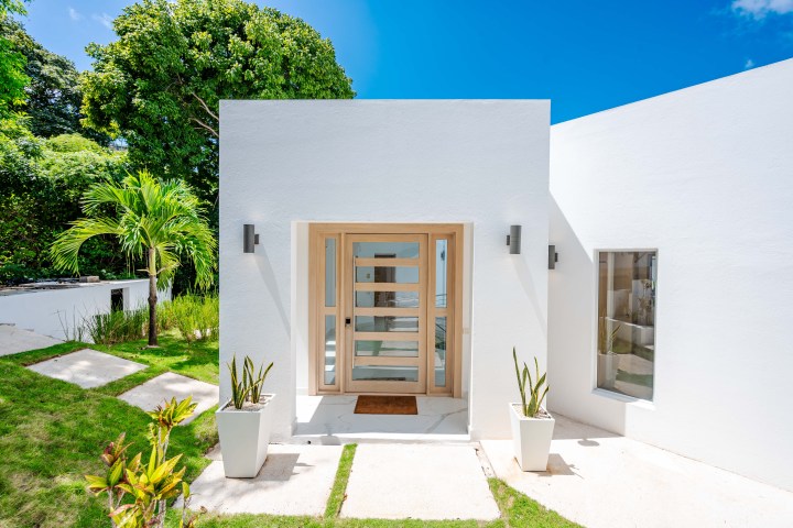 Modern white house entrance with wooden door and plants in planters, surrounded by greenery.