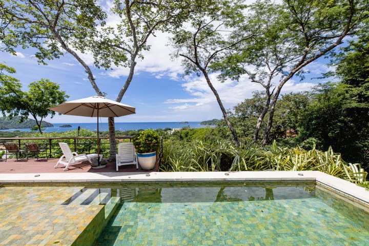 Pool and trees overlooking ocean with a deck and lounge chairs under an umbrella.