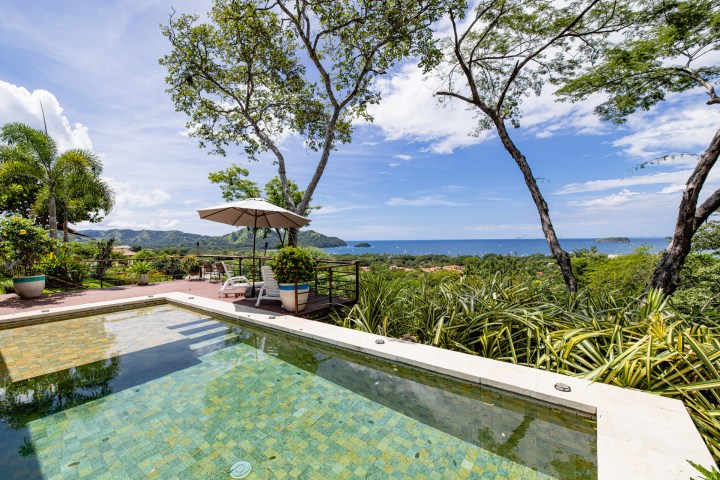 Scenic view of a poolside with trees overlooking the ocean on a sunny day.