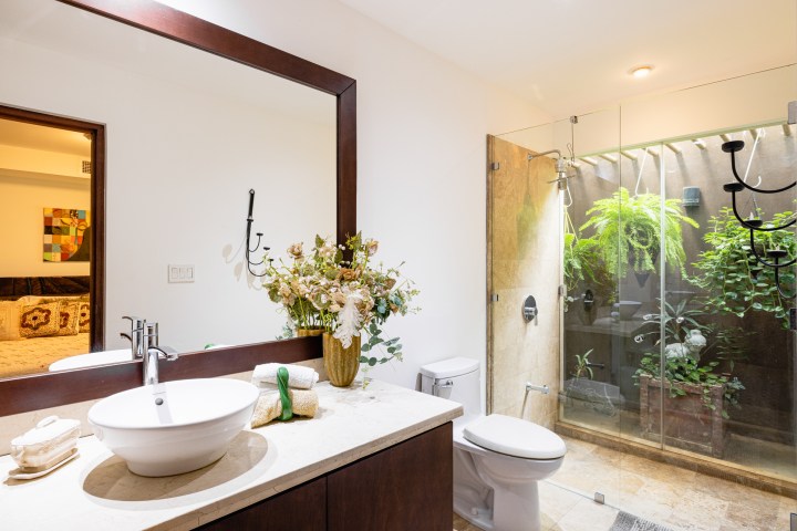 Modern bathroom with round sink, mirror, glass shower, and indoor plants.