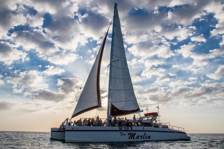 Catamaran with sails open, named 'New Marlin,' on ocean under cloudy sky.