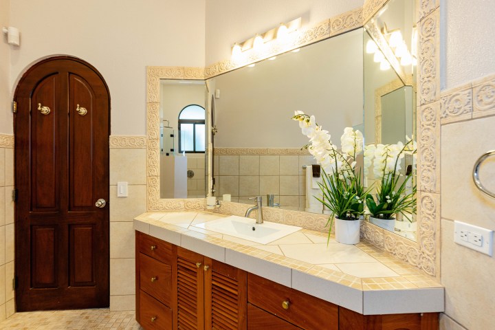 Bathroom with wooden door, large mirror, vanity with sink, and orchid plant in pot.