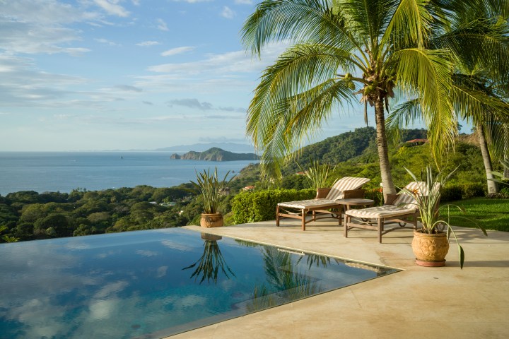 Infinity pool with ocean view, two loungers, and a palm tree on a sunny day.