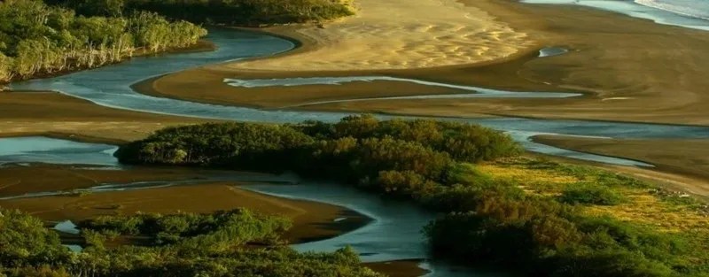 a body of water