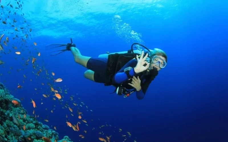 a person flying through the air while swimming in blue water