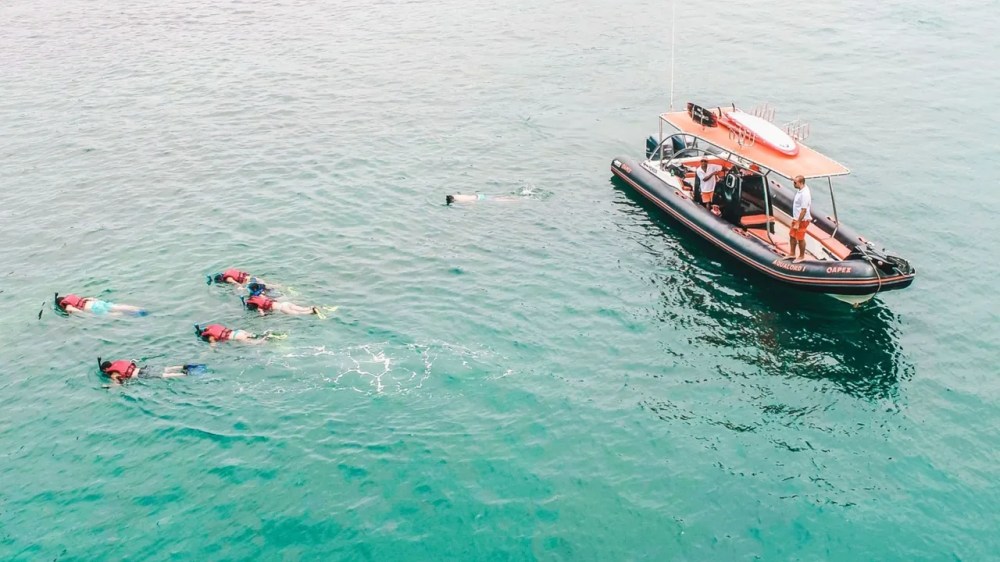 a group of people swimming in a body of water