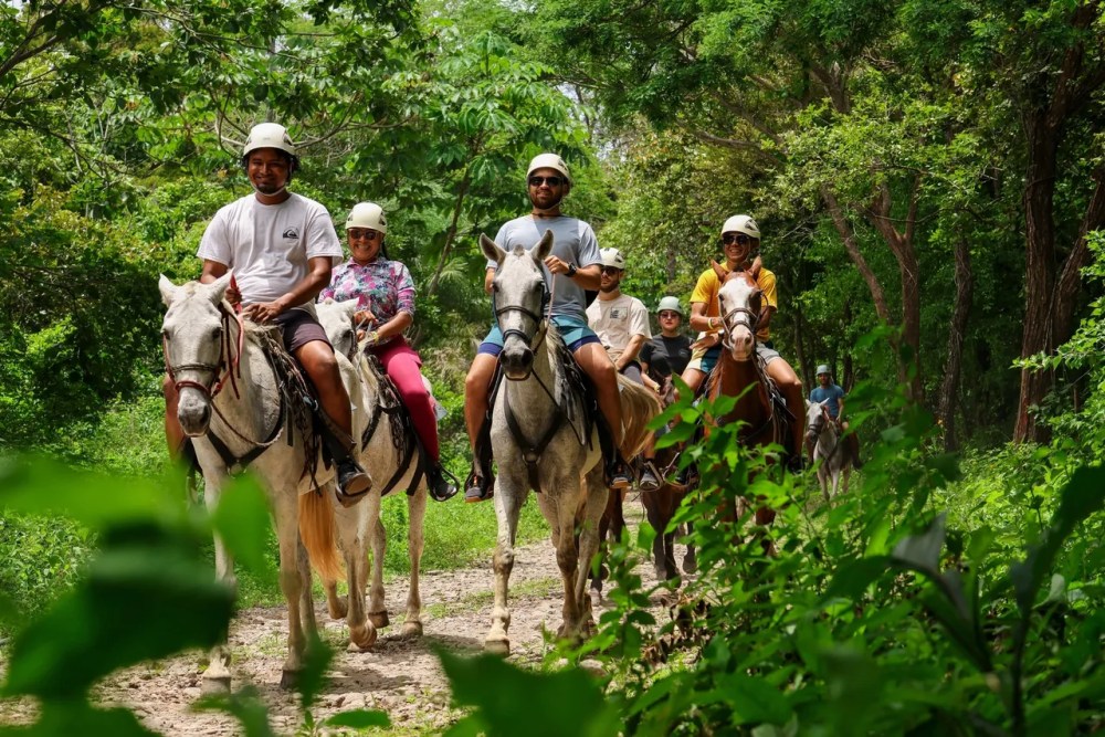 a group of people riding on the back of a horse