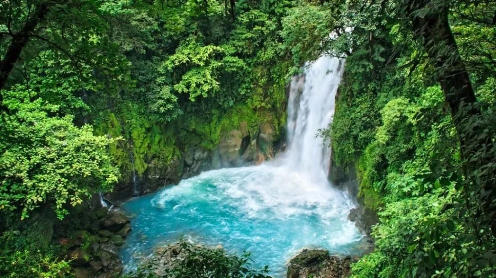 Celeste River surrounded by trees