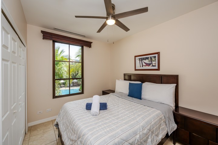 Bedroom with bed, ceiling fan, window view of palm trees, and framed picture on wall.