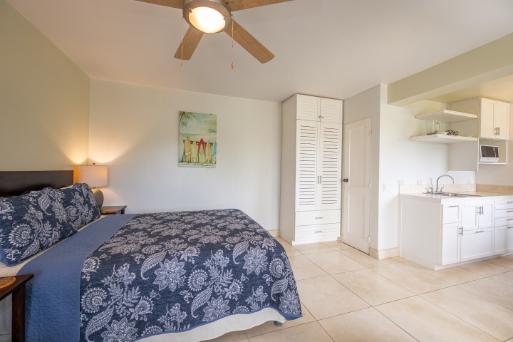 Room with bed, floral bedspread, ceiling fan, artwork, closet, and kitchenette.