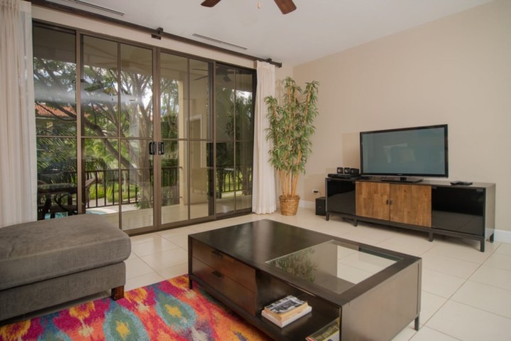 Living room with a TV, large window, colorful rug, and a plant in the corner.