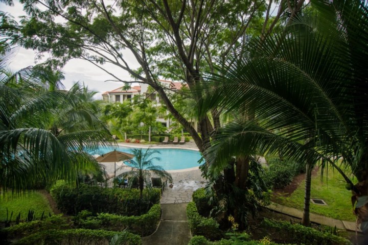 View of a pool through lush tropical trees and plants with a building in the background.