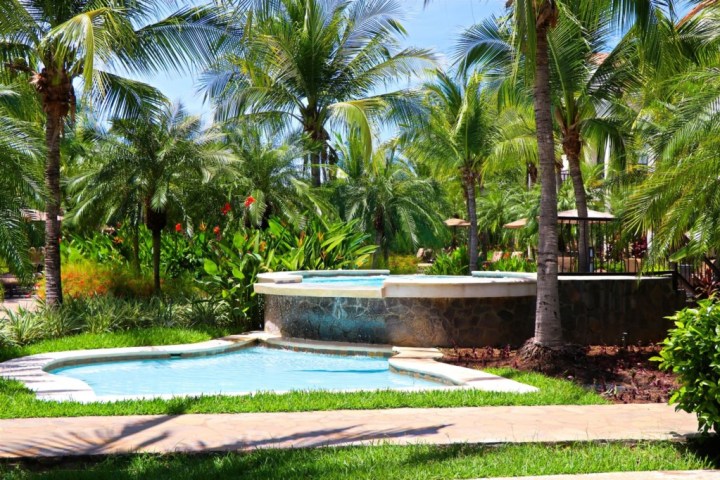 Tropical pool area with palm trees, greenery, and a small waterfall feature.