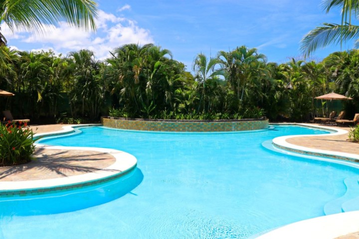 Tropical pool surrounded by lush palm trees under a clear blue sky.