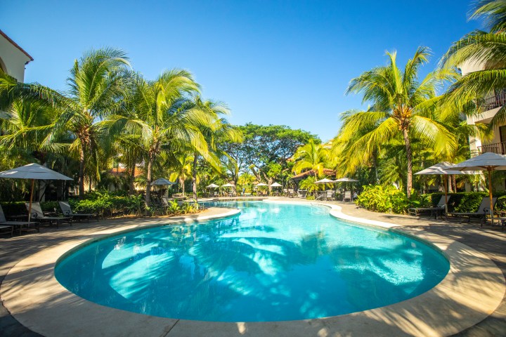 Tropical resort pool with palm trees, sun loungers, and blue sky.