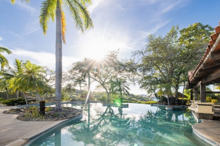 A serene pool surrounded by palm trees in a sunny tropical setting.