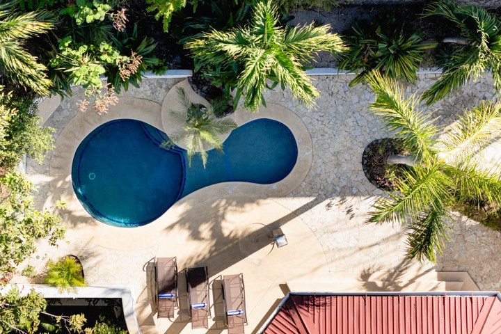 Aerial view of kidney-shaped pool, palm trees, and lounge chairs on stone patio.
