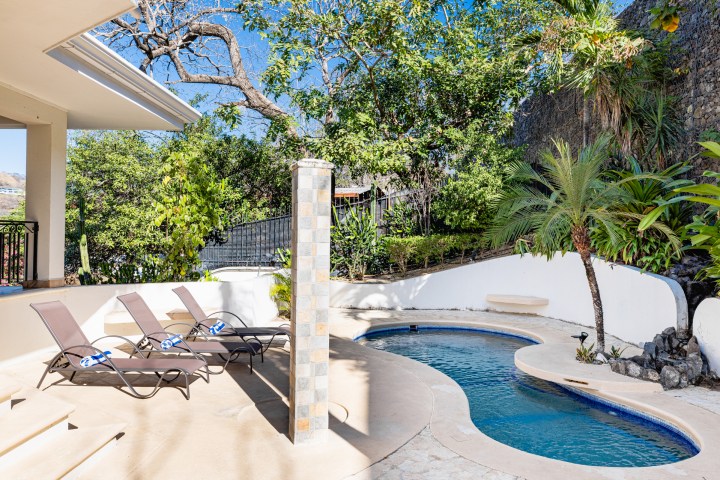 Outdoor pool area with lounge chairs, palm trees, and surrounding greenery on a sunny day.
