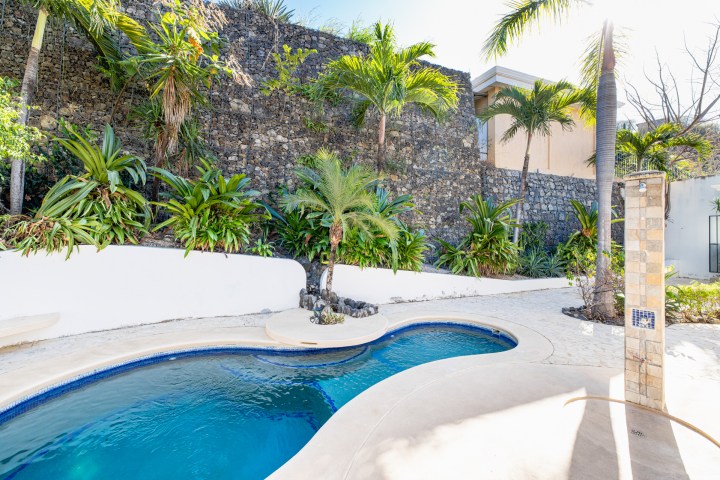 Curved pool surrounded by tropical plants and stone wall with palm trees.