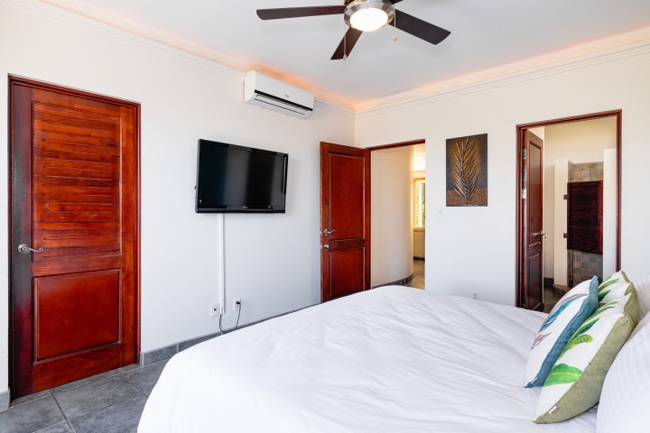 Bedroom with bed, TV, ceiling fan, wooden doors, and wall art.
