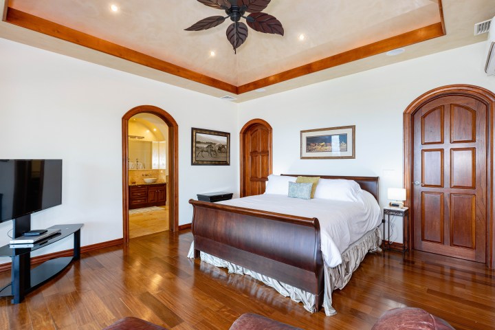 Modern bedroom with wooden floor, large bed, TV, arched doors, and ceiling fan.