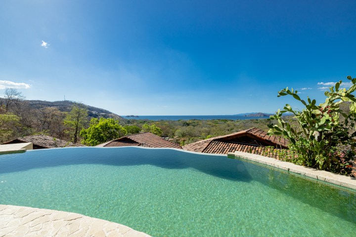 Infinity pool with ocean view, surrounded by trees under a clear blue sky.
