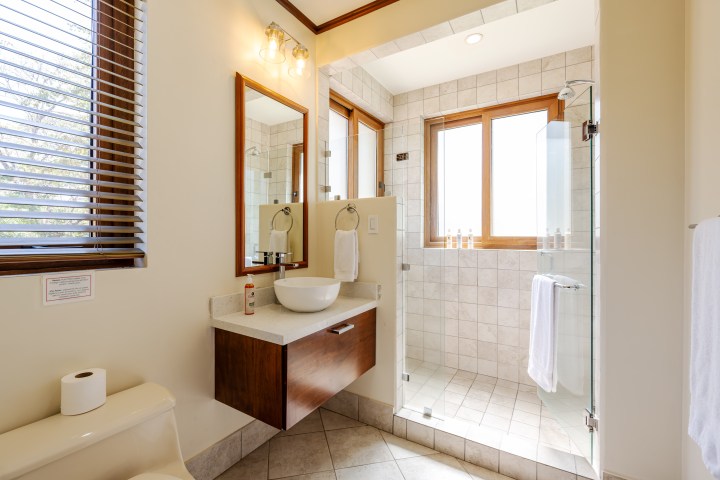 Modern bathroom with large shower, wooden accents, and natural light from windows.