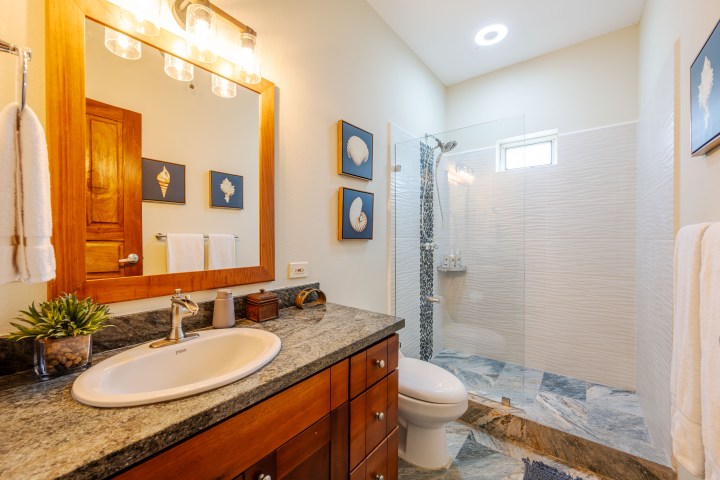 Modern bathroom with granite sink, wooden cabinets, large mirror, and glass shower enclosure.