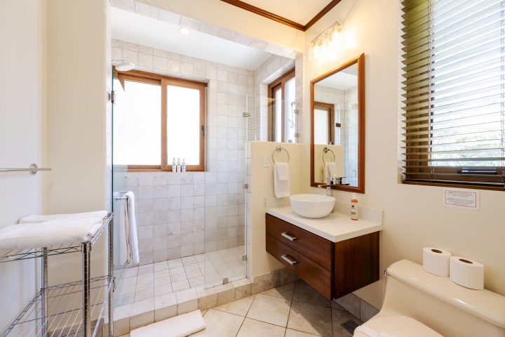 Modern bathroom with a walk-in shower, round sink, and wooden cabinets under window light.
