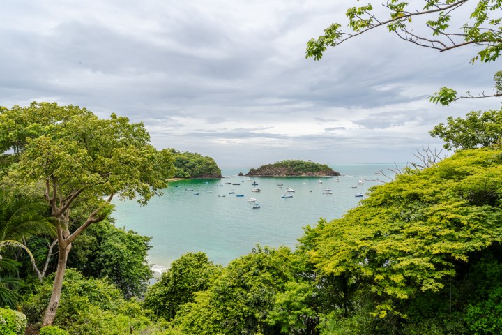 Tropical bay with numerous boats, lush green trees, and a small island under a cloudy sky.