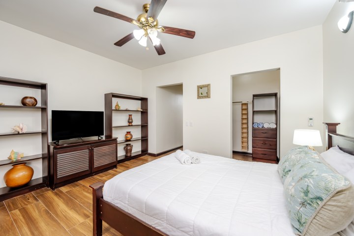 Bedroom with ceiling fan, bed, TV, shelves, and closet alcove on wooden floor.