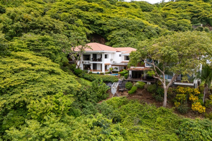 Aerial view of a large white house surrounded by dense green foliage