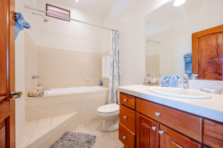 Warm-toned bathroom with tub, shower, toilet, and wooden vanity with sink and mirror.