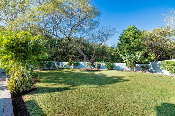 Grassy backyard with trees and bushes near a white fence under a clear blue sky.