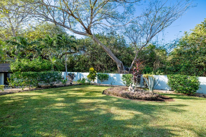 Outdoor garden with large tree, trimmed bushes, a statue, and sunny sky.