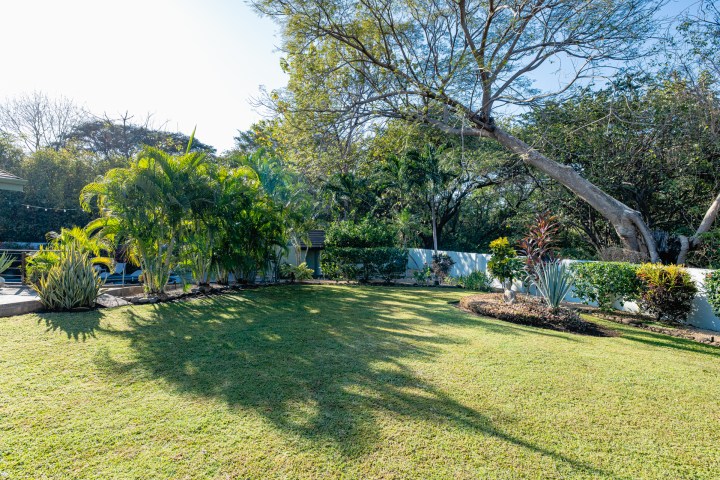 Lush garden with lawn, trees, and plants, under a clear blue sky.