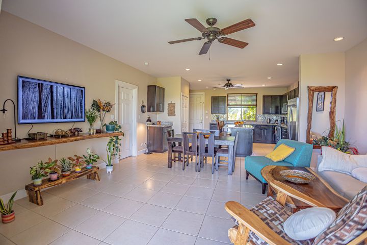 Spacious living room with plants, TV, dining area, and ceiling fan, leading to a modern kitchen.