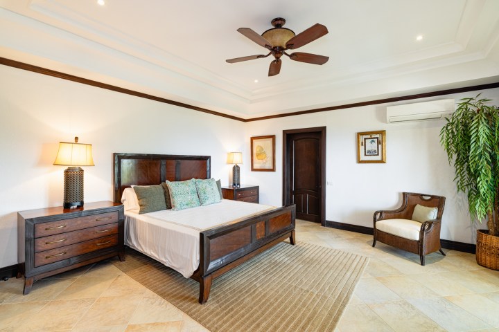 Spacious bedroom with a wooden bed, nightstands, plants, and a ceiling fan.