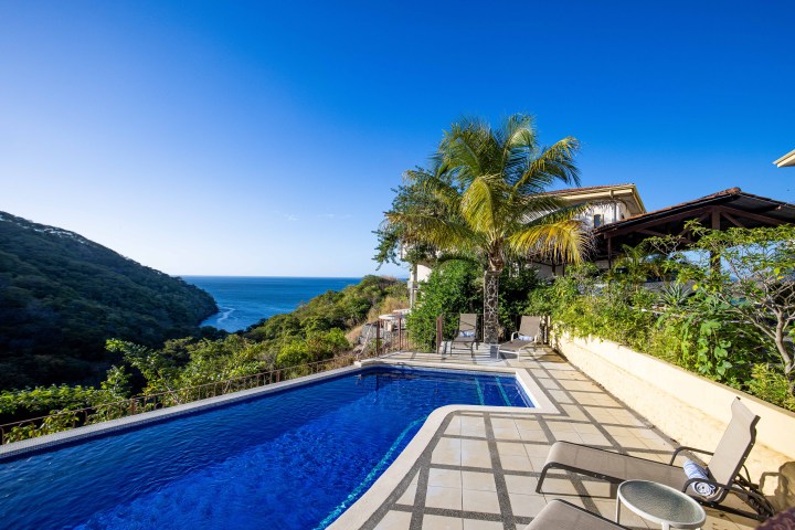 Infinity pool with ocean view, surrounded by lounge chairs, palm trees, and lush greenery under a clear blue sky.