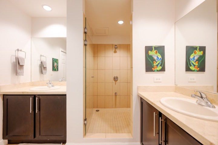 Bathroom with a sink, mirror, shower, and two frog paintings on the wall.