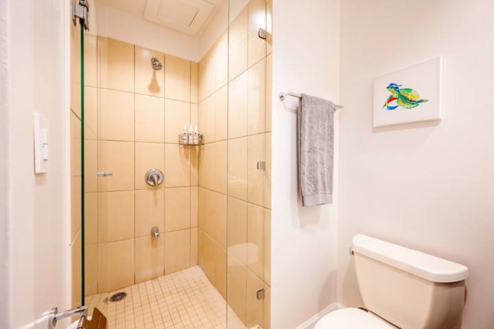 Bathroom with glass shower, beige tiles, toilet, towel, and wall art of a colorful bird.