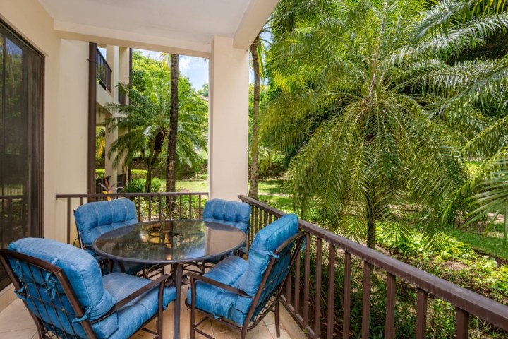 Outdoor patio with glass table, blue cushioned chairs, and view of lush greenery and palm trees.