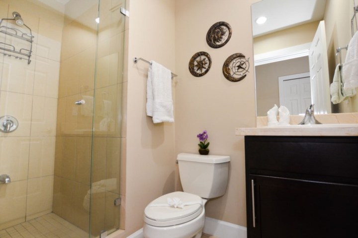 Bathroom with glass shower, toilet, vanity, and decorative wall art.