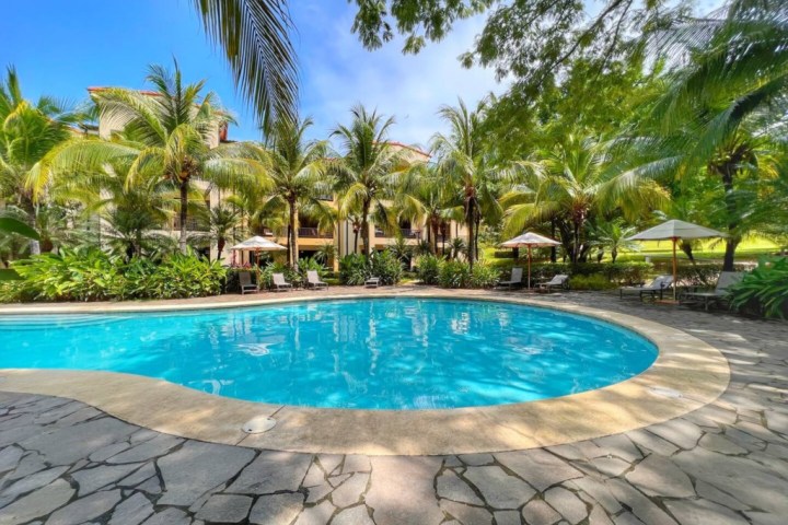 Tropical pool surrounded by palm trees and lounge chairs under a blue sky.