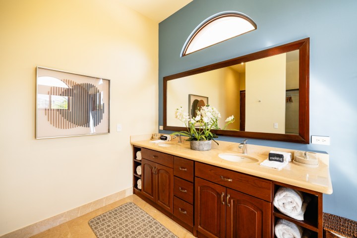 Bathroom with wooden vanity, large mirror, artwork, and a potted plant.