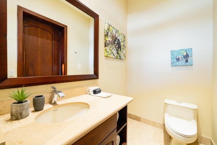 Bathroom with a mirror, sink, toilet, and wall art featuring birds.