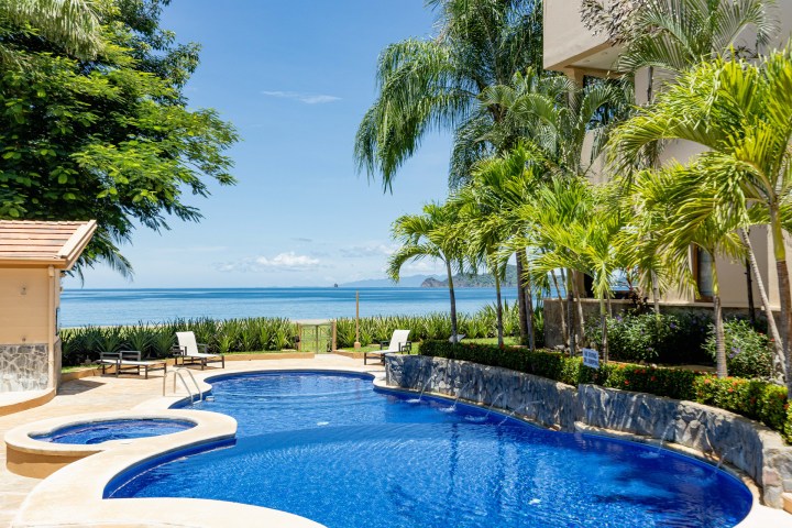 Tropical pool area with palm trees, loungers, and ocean view under a clear blue sky.